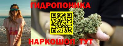 ПСИЛОЦИБИНОВЫЕ ГРИБЫ Тулун