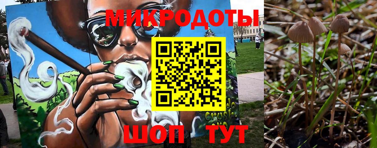 Галлюциногенные грибы мухоморы Можга